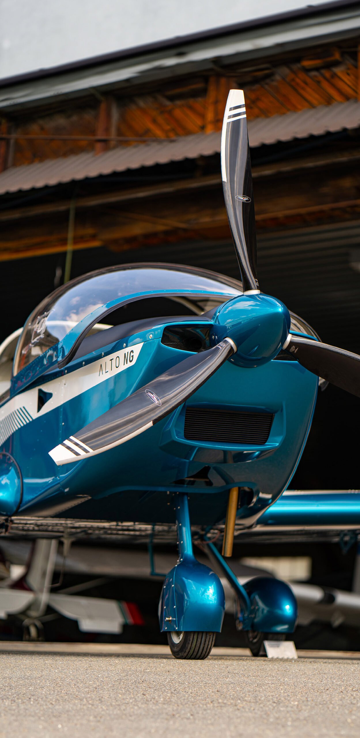 Annecy avion Alto ng fiche technique